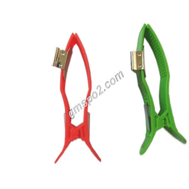 अंग इलेक्ट्रोड- .jpg