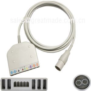 लोहइमेर 98.060.120 / एक मल्टी पैरामीटर ट्रंक केबल (आईबीपी * 2, तापमान * 2, 5-सीसीई ईसीजी, स्पो 2) के साथ प्रयोग करें